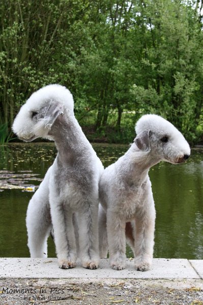 2010-05-01 Svet und Aveline (21).JPG